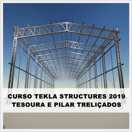 Curso Tekla Structures 2019 Pilares e Cobertura Treliçados  (Modelagem e Detalhamento)