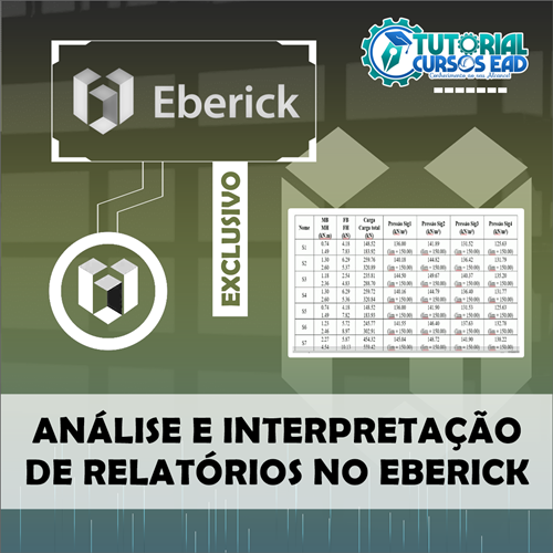 eberickrelatorio